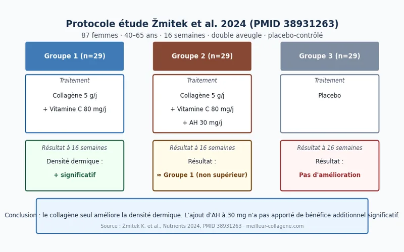 Infographie du protocole de l'étude Žmitek 2024 : trois groupes de femmes (collagène seul, collagène + AH, placebo) sur 16 semaines